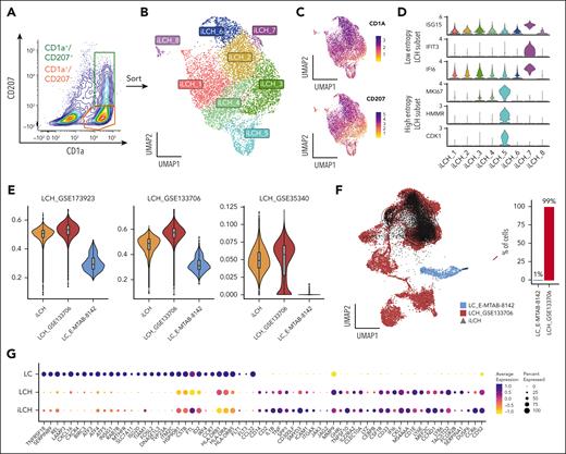 Transcriptomic characterization of iPSC-derived CD1a+/CD207+ iLCH cells using scRNA-seq reveals similarity to LCH subsets found in lesions. (A) BRAFV600E/WT CD14low/CD1c+ were cultured with GM-CSF, TNF-α, and TGF-β1 to generate iLCH cells. Living CD1a+/CD207− and CD1a+/CD207+ cells were sorted and used for scRNA-seq. (B) UMAP of 8483 sequenced cells from 2 independent experiments. (C) Feature plot showing the expression of CD1A and CD207 in the data set. (D) Violin plots showing that iLCH cells are heterogeneous and express markers defining different subsets of lesional cells in LCH biopsies. Cluster iLCH_5 expresses proliferative markers (HMMR, CDK1, and MKI67) similar to high-entropy LCH subsets, whereas cluster iLCH_7 expresses IFI6, IFIT3, and ISG15, similar to low-entropy LCH subsets.65 (E) UCell66 scoring was created using gene lists from 3 different data sets: (1) GSE173923, top100 makers (using FindMarkers function in Seurat) of LCH cell cluster, of Kvedaraite et al19; (2) GSE133706, 77 marker genes distinguishing LCH from non-LCH immune cells described in Table S2 of Halbritter et al65; and (3) GSE35340 884 genes that are differentially expressed in LCH vs LC described in Hutter et al20 (and listed as supplemental File 1 in Schwentner et al18). The results show that iLCH cells are much closer to lesional LCH cells than to physiological LCs (E-MTAB-8142). (F) Projection of iLCH on a scRNA-seq data set composed of healthy LCs (E-MTAB-8142) and tumoral LCH cells from biopsies.65 Overall, 99% of iLCH cells project on the LCH data set and only 1% on the subset of healthy epidermal LCs. (G) Dot plot of several transcripts expressed in LCH vs LC cells showing similar expression profiles between iLCH and LCH cells.