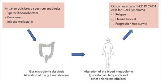 Detrimental effect of antibiotics with a broad antianaerobic spectrum on patients with B-cell lymphoma after anti-CD19 CAR-T therapy.