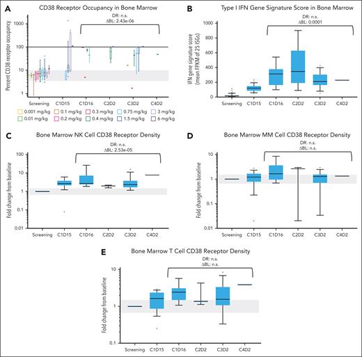 Correlative analysis of biomarker data in the bone marrow of patients with R/R MM treated with modakafusp alfa. Box and whisker plots (whiskers 10-90 percentile) depict percent of CD38 receptors occupied on viable leukocytes of the bone marrow (A); fold change in the type 1 interferon gene signature score in the bone marrow as defined by the average FPKM of 25 interferon-stimulated genes (B); fold change in CD38 density on NK cells of the bone marrow (C); myeloma cells of the bone marrow (D); and T cells of the bone marrow (E). Baseline for all data sets was defined as the sample collected during screening. Because of limited sampling of the bone marrow, C1D16, C2D2, C3D2, and C4D2 were evaluated for statistical significance together because all assessments were planned 24 hours (±2 days) after modakafusp alfa was administered. A linear regression model was used to evaluate the trend of DR. Wilcoxon signed-rank test was used to determine whether pooled data from all doses were significantly changed from baseline. A significant ΔBL was defined as a fold change of ≥1.5 above, or ≤2/3 below, baseline for cellular markers (panels A,C-E); similarly, for gene expression (panel B), a significant ΔBL was defined as a fold change of ≥2 or ≤1/2. The ΔBL thresholds are shaded in gray on each panel as applicable. DR and ΔBL P values are depicted above data sets. ΔBL, change from baseline; C, cycle; D, day; DR, dose responsiveness; IFN, interferon; ISG, interferon-stimulated gene; n.s., nonsignificant result; SSC, side scatter.