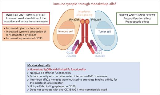 Modakafusp alfa immunocytokine fusion protein. Novel immune mechanisms of action. Modakafusp alfa immunocytokine-induced myeloma cell death by delivering interferon alfa signaling to CD38+ myeloma tumor cells and enhancing immune activation by signaling to immune cells carrying CD38+ and interferon alfa receptors. IFN, interferon; IFNa2bR, interferon alfa-2b receptor; mAb, monoclonal antibody.