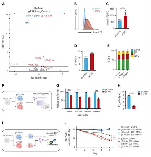 TSR3 knockout activates a p53-dependent response and resensitizes resistant NPM1c+ AML cells to Ven. (A) Volcano plot revealing differentially expressed genes in OCI-AML3 cells transduced with a TSR3 gRNA (gTSR3) vs a nontargeting control gRNA (gControl). (B) Representative histogram plot of Annexin V staining in gTSR3 vs gControl-transduced OCI-AML3 cells. (C) Annexin V staining, (D) TUNEL staining, and (E) cell cycle distribution in gTSR3 vs gControl-transduced OCI-AML3 cells. (F) Schematic representation of the OCI-AML3 presensitization experiment. OCI-AML3 cells were transduced with gTSR3 or gControl and their response to venetoclax (Ven) was assessed using the MTS assay. (G) Proliferation of gTSR3 vs gControl-transduced OCI-AML3 cells after 4 days of incubation with Ven at the indicated doses (MTS assay). (H) IC50 values of gTSR3 vs gControl-transduced OCI-AML3 cells after 4 days of incubation with Ven (MTS assay). (I) Schematic representation of resensitization experiment using OCI-AML3 cells. Cells were transduced with BFP-expressing gTSR3 or gControl and were mixed with BFP-negative untransduced cells. Next, they were exposed to Ven and the BFP+ percentage was monitored for a course of 5 days by flow cytometry. (J) Percentage of BFP+gTSR3 or gControl-transduced cells on treatment with Ven at the indicated doses. BFP percentage was normalized to the reading of day 1. (A) Unpaired t test with multiple-hypothesis–testing correction (FDR, Benjamini-Hochberg method). (C-E,G-H,J) t test was used to calculate P values between groups. ∗P ≤ .05; ∗∗P ≤ .01; ∗∗∗P ≤ .001; ∗∗∗∗P ≤ .0001. Data represent 3 to 6 independent experiments (mean ± SD). (G-H) Absorbance values were normalized to DMSO-treated cells. Data represent 3 independent experiments (mean ± SD). MFI, mean fluorescence intensity. Panels F and I were created with BioRender.com. Vassiliou, G. (2025) https://BioRender.com/9tt8kww.