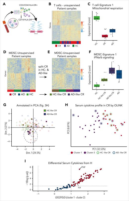 Molecular analyses confirm similar inflammation in CR and AD compared with HCs. (A) CD14+ HLA-DRlow monocytes and activated (HLA-DR+) T cells were sorted from fresh peripheral blood PBMCs for bulk RNA sequencing. (B) The transcription profile of activated (HLA-DR+) T cells of CR DLBCL was compared with those from patients with AD and HCs in an unsupervised clustering. (C) Pathway analysis of the significantly differentially expressed genes of activated (HLA-DR+) T cells highlights signature 1 with reduction of mitochondrial respiration and electron transport in AD and CR compared with HCs. Changes of gene expression levels were determined by Z values. (D) Transcription profiles of CD14+/HLA-DRlow monocytes from HCs and patients in CR or with AD were unsupervised clustered. (E) CR samples from panel D were manually annotated to either HC-like CR or AD-like CR and unsupervised clustering repeated with the 4 distinct subgroups. (F) Exemplary signature of the 4-group analysis with upregulation of the IFN-α/β signature. Changes of gene expression levels were determined by Z values. (G) Visualizing of the patients HC- and AD-like profiles in the previously shown immunophenotypic pattern PCA from Figure 2H. (H) Cytokine profile of 92 cytokines Olink analysis from serum of patients in CR was clustered by K-means in 2 subgroups by the Elbow method. HC- (green circle) and AD-like samples (blue circles) from the RNA sequencing are indicated. (I) The differentially expressed cytokines of cluster 1 were subtracted by cluster 2 and plotted against their significance levels given by the logarithm of the adjusted P value, that is, −log10 (adj.p). AD., active disease; Dim., dimension; fig., figure; HLA-DR., human leukocyte antigen type DR; IFNa/b, interferon alpha or beta; IL-6, interleukin-6; TNF, tumor necrosis factor.