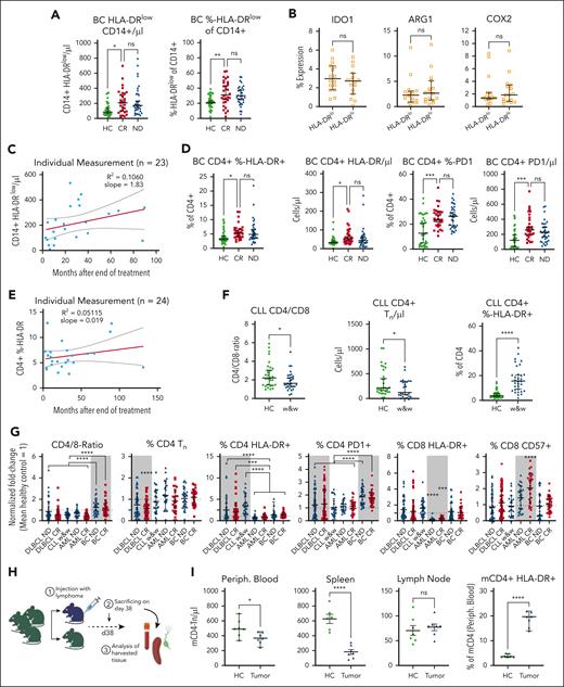 Specific immune changes in patients with BC, patients with CLL, AML, and lymphoma-bearing mice. (A) Determination of CD14+ HLA-DRlow monocytes by flow cytometry in patients with BC when ND and in CR compared with matched HCs. Each symbol represents an individual patient. Significance determined by the ordinary 1-way ANOVA using the Šidák multiple comparison. (B) Staining for intracellular enzymes that correlate with inhibitory function IDO1, Arg1, and COX2 in CD14+/HLA-DRlow compared with respective in-patient control of DRhigh myeloid cells of patients in CR. Each symbol represents an individual patient, significance determined by the paired t tests. (C) The count of CD14+/HLA-DRhigh is blotted against the time point of the individual blood draw. Each symbol indicates a single patient. Red line indicates linear regression. (D) Relative and absolute CD4+ T-cell activation (HLA-DR) and exhaustion (PD1) in survivors of BC was measured by flow cytometry compared with HCs. Each symbol represents an individual patient, P values were determined by ordinary 1-way ANOVA using the Šidák multiple comparison. (E) The rate of activated (HLA-DR) CD4+ T-cells was blotted against the time point of the individual blood draw. Each symbol indicates a single patient. Red line indicates linear regression. (F) Indicated T-cell subsets were measured by flow cytometry from untreated CLL in watch-and-wait. Each symbol represents an individual patient. Two-group comparison was done using the ordinary 1-way ANOVA using the Šidák multiple comparison. (G) Indicated T-cell subset changes of respective disease entities including AML were normalized to the mean of their own HC group as 1 and allow for data comparison between the groups as indicated using the ANOVA group comparisons. Gray boxes indicate disease-specific significant alterations. (H) Scheme of the BL6 systemic BCL mouse model. (I) Indicated organs were analyzed for alterations in the indicated T-cell populations including respective markers after tumor injection compared with tumor-free mice by flow cytometry. Each symbol indicates values from an individual mouse, P values were determined by unpaired t tests. For all panels, ∗P < .05; ∗∗P < .01; ∗∗∗P < .001; ∗∗∗∗P < .0001. Arg1, arginase-1; BL6, black 6; COX2, cyclooxygenase 2; IDO-1, indoleamine 2,3-dioxygenase 1; mCD4, murine CD4; ns, not significant; PD1, programmed cell death protein 1; periph., peripheral; Tn, naive T cells; w&w, watch-and-wait.