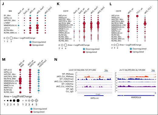 DNA repair pathways are uniquely active in ERV re-expressing Asxl1–/–Ezh2–/– dKO cells. (A) Venn diagram showing the overlaps of differentially expressed genes (adjusted P < .05) identified in the data set derived from the BM of mice that received primary transplant with the indicated genotype, by comparing each genotype, Asxl1–/–, Ezh2–/– MDS/MPN LPD, and Asxl1–/–Ezh2–/– dKO MDS/MPN LPD mice with WT. (B) The bar charts show example pathways identified in gene ontology analysis comparing Asxl1–/– vs WT or Ezh2–/– vs WT (top) and Asxl1–/–Ezh2–/– dKO vs WT (bottom). (C) Example GSEA plots for the indicated pathways in the indicated comparisons are shown. (D-G) Gene set variant analysis (GSVA) for the indicated samples was performed and mean scores for Reactome and Hallmark DNA repair gene sets for each genotype are plotted in the heat map. Different RNA-seq data sets were used for the analysis, c-kit+ 5 days after start of in vivo deletion (D), c-kit+ 3 months after in vivo deletion (E), BM (F), and CD19+ splenocytes (G). (H) Dot plots show selected results for Kyoto Encyclopedia of Genes and Genomes pathway analysis using genes expressed in CLL in the indicated comparisons (WT vs tertiary Asxl1–/–Ezh2–/– dKO CLL or WT vs tertiary TCL1 CLL). DNA repair pathways are marked with a star. (I) GSEA results for selected DNA repair gene sets for tertiary Asxl1–/–Ezh2–/– dKO CLL vs tertiary TCL1 CLL are shown. (J) Dot plot showing the differential expression of the indicated TE families in BM RNA-seq data from mice that received primary transplant, comparing KO vs WT and dKO vs single KO as indicated. (K) Similar dot plot as shown in panel J but using CD19+ splenocyte RNA-seq data from mice that received primary transplant. (L) Dot plot showing the differential expression of the indicated TE families using CD19+ splenocytes isolated from tertiary Asxl1–/–Ezh2–/– dKO CLL, tertiary TCL1 CLL mice, or WT mice as control. (M) The plot shows the integration of differential expression analysis using CD19+ RNA-seq data and quantitative H3K27me3 and H3K27ac CUT&RUN data for the indicated TE families in CD19+ splenocytes isolated from tertiary Asxl1–/–Ezh2–/– dKO CLL mice or WT mice as control. (N) The genome tracks show examples of differentially expressed individual ERVs (RNA-seq top 2 tracks) and the H3K27me3 and H3K27ac levels in WT and tertiary Asxl1–/–Ezh2–/– dKO CLL mice as indicated. The last 2 tracks show control IgG enrichment. H3K27ac, H3K27 acetylation; H3K27me3, H3K27 trimethylation; IgG, immunoglobulin G.