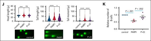 Human myeloid malignancies with ASXL1/EZH2 and lymphoid CLL with ASXL1 mutations show reactivation of L1 TEs and are sensitive to P treatment. (A) Wald statistics are shown for L1 TEs for a comparison between human MDS BM samples with ASXL1/EZH2 (n = 3) mutations and human MDS BM samples with other mutations (n = 109). (B) GSVA was performed on the whole human MDS BM data set (n = 112) and mean values for ASXL1/EZH2 mutant samples and samples with other mutations are shown in the heat map for DNA repair-related gene sets. (C) The relative number of cells for the indicated patient samples in indicated treatment groups are shown. MDS A/Emut, n = 4; MLLr, n = 2. (D) The bar charts (left) show the percentage of cells with ≥10 γH2AX foci after the indicated treatment for MDS A/Emut. Representative images (right) of γH2AX foci (green) and their merge with DAPI (blue) for the indicated treatments are shown. (E) Comet assay was performed after the indicated treatment on MDS A/Emut and MLLr cells and head length, tail length, and tail moment are shown in the violin plots (left). Example pictures for C and other treatments for the indicated cell types are shown (right). (F) Wald statistics are shown for L1 TEs for a comparison between human CLL samples with ASXL1 (n = 5) mutations and human CLL with other mutations (n = 161). (G) GSVA was performed on the whole human CLL data set (n = 166) and mean values for ASXL mutant samples and samples with other mutations are shown in the heat map for DNA repair-related gene sets. (H) The relative number of B cells of human CLL samples with the indicated mutations (n = 5 each) is shown after in vitro culture with or without P. (I) The fold increase in number of cells with ≥10 γH2AX foci is shown for the indicated human CLL cells with or without P treatment. (J) Comet assay was performed after the indicated treatment on human ASXL1-mutated CLL cells and head length, tail length, and tail moment are shown in the bar charts (top). Example pictures are shown (below). (K) The relative number of B cells of human CLL samples with ASXL1 mutations is shown with or without the indicated treatments (n = 4). Plots show mean ± SEM, ∗P < .05, ∗∗P < .01, ∗∗∗P < .001, ∗∗∗∗P < .001, unpaired t test. C, control; L1, LINE1; MDS A/Emut, human ASXL1/EZH2-mutated MDS cells; MLLr, MLL-rearranged AML; P, PARPi; P+D, PARPi + didanosine.