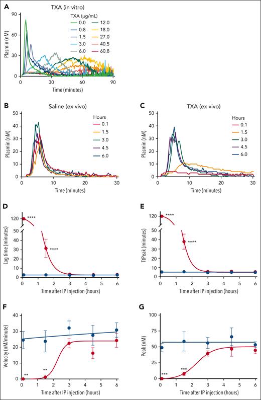 TXA inhibits plasminogen activation and/or PA in vitro and ex vivo. (A) Mouse normal pooled plasma was diluted 1:6 in HEPES buffer with TXA (concentrations indicated in the legend) and then clotted in the presence of tissue factor, phospholipids, recombinant tissue plasminogen activator, and CaCl2. Fluorescence was monitored over time. Representative curves from 3 replicates are shown. (B-G) Saline or TXA (600 mg/kg) was injected intraperitoneally into wild-type mice. Blood was collected from the inferior vena cava into 3.2% sodium citrate (10% vol/vol, final) and used to prepare plasma for PA measurements. Representative curves of mice treated with (B) saline or (C) TXA for each time point. (D-G) Parameters: (D) lag time, (E) time to peak, (F) velocity, and (G) peak. Saline and TXA treatments are indicated in black and red, respectively. Dots and error bars show mean ± standard error of the mean, N = 4 to 9 individual mice per time point. Groups were compared by ordinary 1-way analysis of variance with the Šidák or the Holm-Šidák multiple comparisons test; ∗∗P < .01, ∗∗∗P < .001, ∗∗∗∗P < .0001 for comparisons at each time point. TtPeak, time to peak.
