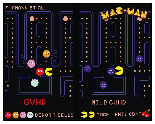 “Mac-Man” macrophages can eat (clear) alloreactive CD47-overexpressing T cells that are preferentially found in patients and animals with GVHD upon the systemic administration of anti-CD47 antibody that leads to milder GVHD. Figure provided by Andreas Beilhack in homage to the digital art of Toru Iwatani, the original creator of Pac-Man.