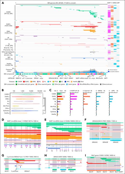 Intragenic deletions shape EBV genomes across disease landscapes. (A) Comprehensive overview of intragenic deletions (>50 bases) identified across diverse diseases. Each gray line represents the EBV genome of an individual patient. Filled bars denote complete deletions (with no remaining alleles), whereas open bars represent partial deletions (retaining some alleles). The affected viral components are indicated to the right of each EBV genome. A histogram summarizes the frequency of deletions in specific genomic regions, with blue and gray bars representing complete and partial deletions, respectively. The color codes for diseases (consistent with those used in Figure 1A) and EBV genome components are also indicated. (B) Distribution of deletion lengths across various disease categories, visualized with violin plots. Box plots within the violins illustrate interquartile ranges (the edges represent the 25th and 75th percentiles, whereas the inner bar indicates the median). ∗P < .01 (.00014 for CAEBV+DLBCL+ENKL+BL+HL vs IM+PTLD; .00197 for CAEBV+DLBCL+ENKL+BL+HL vs epithelial cell malignancies; .00181 for CAEBV+DLBCL+ENKL+BL+HL vs healthy donors). Other, other hematological diseases; epithelial, epithelial cell malignancies; healthy, healthy donors. (C) Disease-specific frequencies of deletions illustrating both overall deletions and those affecting specific viral components. (D-I) Zoomed-in views of specific EBV genomic regions highlighting deletion patterns. Numbers in these panels correspond to the individual miRNAs within the BARTmiR clusters. Color coding follows the same scheme as in panel A for consistency and clarity. BARTmiR, BART miRNAs; essential, essential genes for virion production; OriP, replication origin involved in latent infection; oriLyt, replication origin involved in lytic infection.