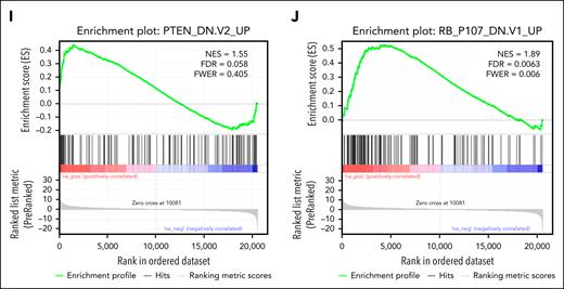 Transcriptional analysis of EBNA3B. (A) Summary of deletions and amino acid changes identified in EBNA3B. Color coding for diseases is the same as in Figure 3A. (B) Summary of nonsense and frameshift mutations identified in EBNA3B. The c.2653dupG and c.2804_2807delCGAA mutations were identified in 2 samples. (C) t-SNE plot illustrating gene expression profiles of LCLs established with WT EBV (gray), EBNA3B-deficient EBV (dEBNA3B, blue), and revertant EBV (orange). (D) Volcano plot comparing gene expression between WT- and dEBNA3B-LCLs. Red circles represent genes with at least one EBNA3B ChIP-seq peak within 100 kb of their transcription start sites. (E) Frequency of EBNA3B ChIP-seq peaks in upregulated and downregulated genes. (F) Gene set enrichment analysis comparing WT- and dEBNA3B-LCLs, highlighting the enrichment of a gene set frequently deleted in glioblastoma (TCGA_GLIOBLASTOMA_COPY_NUMBER_DN). (G) Heat map and dot plots illustrating differential gene expression among the 3 LCLs. Gene symbols highlighted in yellow denote established tumor suppressor genes. (H) Enriched gene set (SOTIRIOU_BREAST_CANCER_GRADE_1_VS_3_UP) identified in WT- and dEBNA3B-LCLs. (I) Gene set enrichment analysis (PTEN_DN.V2_UP) suggesting possible downregulation of the PTEN pathway in dEBNA3B-LCLs. (J) Gene set enrichment analysis (RB_P107_DN.V1_UP) suggesting downregulation of the RB pathway in dEBNA3B-LCLs. FDR, false discovery rate; FWER, family-wise error rate; NES, normalized enrichment score.