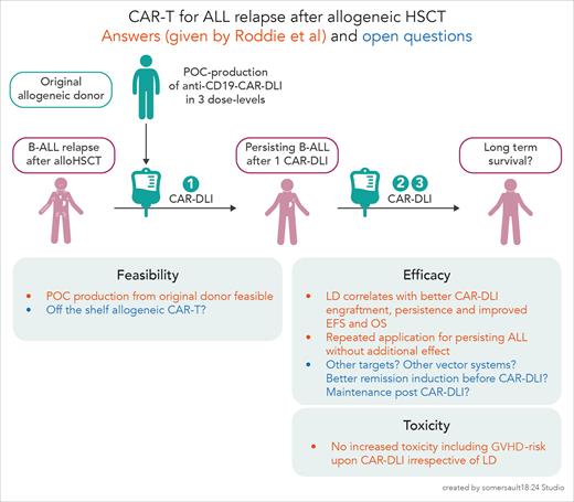 Role of LD in CAR-T therapy after alloHSCT. EFS, event-free survival; OS, overall survival.
