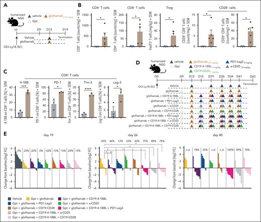 Exploring and evaluating novel chemotherapy-free combination partners. (A) Experimental design of the in vivo pharmacodynamic (PD) study in humanized NSG mice bearing subcutaneous OCI-Ly18 tumors. The mice were divided into 2 experimental groups, each consisting of 8 mice. One group received a vehicle control (histidine buffer), whereas the other was treated with Gpt (30 mg/kg) followed by glofitamab (0.15 mg/kg). The compounds were administered IV after the displayed timeline, and the study concluded on day 19. (B) Ex vivo flow cytometry analysis was conducted on the tumors at study termination. Normalized counts of CD4+ and CD8+ T cells, Treg counts, and the frequency of CD28+ CD4+ or CD8+ intratumoral T cells are illustrated. In addition, phenotypic analysis of CD8+ T cells was performed, assessing 4-1BB, PD-1, TIM-3, and LAG-3 (from left to right) expression. Bars illustrate means + SEM, and dots indicate values of individual mice. Statistical analysis was performed using unpaired t test, and significant P values are indicated as follows: ∗P < .05; ∗∗P < .01; ∗∗∗P < .001; ∗∗∗∗P < .0001. (C) Experimental design of the in vivo combination efficacy study. (D) Humanized NSG mice with subcutaneous OCI-Ly18 tumors were allocated to 9 experimental groups (10 mice per group) and were treated with vehicle (histidine buffer), glofitamab monotherapy (0.5 mg/kg), or combination treatments with either CD19–4-1BBL (1 mg/kg), CD19-CD28 (1 mg/kg), α-CD25 (10 mg/kg), or PD1-Lag3 (3 mg/kg). Triple combinations of glofitamab + CD19–4-1BBL with either PD1-LAG3, α-CD25, or CD19-CD28 were evaluated. All groups received Gpt (30 mg/kg) on study day 9. Compounds were administered IV according to the displayed timeline, and the study was terminated on day 43. (E) Waterfall plots for day 19 (left), day 26 (middle), and day 40 (right) illustrate individual tumor sizes normalized to the tumor volume of each mouse at the start of treatment on day 9. Positive values indicate tumor growth, whereas negative values indicate regression. Each bar represents an individual mouse at the respective time points, with colors indicating different treatments. The indicated values represent the percentage of mice revealing tumor regression at each time point. Statistical analysis was performed using 1-way ANOVA, and significant P values are indicated as follows: ∗P < .05; ∗∗P < .01; ∗∗∗P < .001; ∗∗∗∗P < .0001. FC, fold change; n.d., not determined.