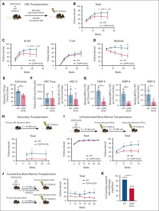 CD99 is required for HSC self-renewal. (A) Schematic of primary transplants of purified HSCs. (B) Total donor-derived PB chimerism in primary recipients (n = 6 donors and 6 recipients per genotype). (C-D) Donor-derived B-cell, T-cell, (C) and myeloid cell chimerism (D) in primary recipients). (E) BM cellularity per 2 femurs and 2 tibias. (F) Frequency and absolute number of donor-derived HSCs in the BM of primary recipients after 24 weeks. (G) Absolute number of donor-derived CMPs, GMPs, and MEPs in the BM of primary recipients. (H) Schematic of secondary transplants of unfractionated BM from primary recipients of purified HSCs and total donor-derived PB chimerism in secondary recipients (n = 6 donors and 6 recipients per genotype). (I) Schematic of primary and secondary transplants of unfractionated BM. Total donor-derived PB chimerism in primary recipients (n = 6 donors and n = 10 recipients per genotype) and secondary recipients (n = 6 donors and n = 10 recipients per genotype). (J) Schematic of primary and secondary competitive transplants of unfractionated BM. Total donor-derived PB chimerism in primary recipients (n = 6 donors and n = 10 recipients per genotype). (K) Number of secondary recipients with multilineage engraftment (defined as >0.5% donor myeloid and lymphoid cells) at 16 weeks after transplant. Statistical significance was assessed using 2-tailed Student t tests for panels A-J and Fisher exact test for panel K (∗P < .05; ∗∗P < .01; ∗∗∗P < .005; +P < .0005). P values for selected nonsignificant trends are also shown; data are represented as mean ± standard error in panels A-D,H-J and mean ± standard deviation in panels E-G.