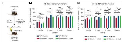 Rapamycin rescues the self-renewal defect of CD99 Gt/Gt HSCs. (A) Schematic of primary transplants of purified HSCs from CD99 Gt/Gt mice and WT controls followed by treatment of recipient mice with rapamycin or vehicle. (B) Total donor-derived PB chimerism in primary recipients (n = 6 donors and 6 recipients per experimental group) over the course of 24 weeks. (C) Donor-derived myeloid chimerism in the PB over the course of 24 weeks. (D) Frequency of donor-derived HSCs in the BM of primary recipients after 24 weeks. (E) Absolute number of donor-derived HSCs, GMPs, CMPs, and MEPs in the BM of primary recipients after 24 weeks. (F-I) Ex vivo OP-puro incorporation in donor (CD45.1) vs host (CD45.2) HSCs isolated from the BM of recipients at 24 weeks. (J) Schematic of transplants of HSCs purified from primary recipients into secondary recipients treated with rapamycin or vehicle. (K) Total donor-derived PB chimerism in secondary recipients (n = 6 donors and 6 recipients per experimental group) over 24 weeks. (L) Schematic of primary competitive transplants of unfractionated BM from CD99 Gt/Gt and WT mice followed by treatment of recipient mice with CX-5461 (starting 48 hours after transplant and continuing through 10 weeks). (M) Total donor-derived PB chimerism and (N) donor-derived myeloid chimerism in primary recipients (n = 3 donors and n = 7 recipients per experimental group) treated with CX-5461. Statistical significance was assessed using 2-tailed Student t tests for panels B-C,F-I,K,M-N and Mann-Whitney U tests for panels D-E (∗P < .05; ∗∗P < .01; ∗∗∗P < .005; +P < .0005). P values for selected nonsignificant trends are also shown; data are represented as mean ± standard error in panels B-C,K,M-N and mean ± standard deviation in panels D-E,L. IP, intraperitoneal injection.