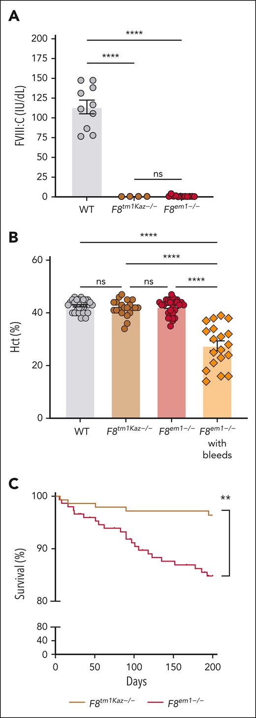 FVIII activity and spontaneous bleeds phenotype of F8em1−/− mice. (A) FVIII activity of age-matched male WT, F8tm1Kaz−/−, and F8em1−/− mice, measured using the FVIII:C activity assay. Data display individual animals and group mean ± standard error of the mean (SEM); n = 4 to 16 mice per group. Statistical analysis was conducted using analysis of variance (ANOVA) and the Tukey multiple comparison test; ∗∗∗∗P ≤ .0001. (B) Hct in age-matched male WT, F8tm1Kaz−/− mice and F8em1−/− mice without or with overt bleeds. Data display individual animals and group mean ± SEM (n = 19-32 mice per group). Statistical analysis was conducted using ANOVA and the Tukey multiple comparison test; ∗∗∗P ≤ .001. (C) Kaplan-Meier survival curve for male mice from birth to 200 days to display the survival (percent) of 150 F8em1−/− and 150 F8tm1Kaz−/− mice. Log-rank (Mantel-Cox) test was used for survival analysis; ∗∗P ≤ .01. ns, nonsignificant.