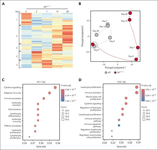 Inflammatory gene expression in the synovium of knee joints of F8em1−/− mice after needle injury-induced HA. (A) Heat map of NanoString nCounter Solver of immunology gene expression in synovium from F8em1−/− mice on days 2, 7, and 14, and day 28 after needle injury compared with uninjured F8em1−/− synovial tissue. Gene clusters 1 through 5 were identified. (B) PCA of gene expression in the synovium of uninjured (day 0) and 2, 7, 14, and 28 days after needle injury of F8em1−/− and WT mice after needle injury. GO analysis of classifications of compartmentalized DEGs attributed to PCA1 (C) and PCA2 (D). The synovium from knee joints of the hind legs of 3 to 7 uninjured or needle-damaged F8em1−/− and WT mice was recovered at each time point and pooled for RNA isolation. adj, adjusted; GO, gene ontology.