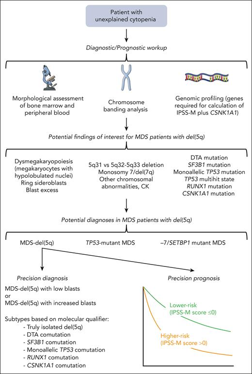 A precision medicine approach to the diagnosis and prognosis of the MDS-del(5q). The conventional diagnostic workup includes bone marrow aspiration, bone marrow biopsy, and conventional cytogenetic analysis. Genomic profiling is now required for precision diagnosis and prognosis. Images are, in part, from Servier Medical Art (https://smart.servier.com).