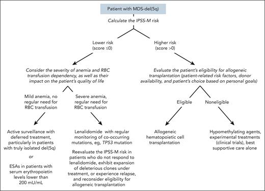 A precision approach to the treatment of patients with MDS-del(5q). Patients with lower-risk MDS-del(5q) have a median overall survival of ∼5 years, whereas those with higher-risk MDS-del(5q) have a median overall survival of only 2 years. The use of lenalidomide in a patient with a monoallelic TP53 mutation should be carefully discussed with the patient, given the risk of progression to a t-MN. The flowchart does not include patients with MDS with TP53 multihit state; these individuals have TP53-mutant MDS, not MDS-del(5q), as illustrated in Figure 4. Older adult patients with comorbidities and/or frailty may benefit from best supportive care alone, which would represent the initial therapeutic decision, regardless of the IPSS-M. ESAs, erythropoiesis stimulating agents; RBC, red blood cell.