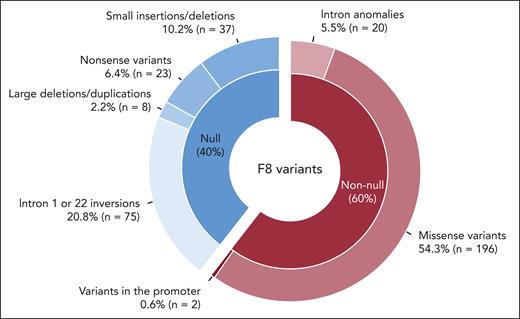 F8 pathogenic variants identified in the HA carrier cohort. In the GIDEHAC cohort (N = 361 HA carriers), 164 different pathogenic variants of the F8 gene were identified. Null and non-null variants were predicted to have a major and a mild deleterious effect on FVIII synthesis, respectively. The null variant group included inversions of introns 1 and 22, nonsense variants, large deletions or duplications, and small insertions/deletions creating a frameshift with a predicted premature stop codon. The latter included small insertions/deletions located in polyA runs, although some of these could be associated with an in-frame nucleotide repositioning mechanism, allowing only low FVIII synthesis and therefore moderate HA. The non-null variant group included missense variants, intron anomalies (nucleotides substitutions or deletions/insertions distant from exons), and nucleotide substitutions located in the promoter.