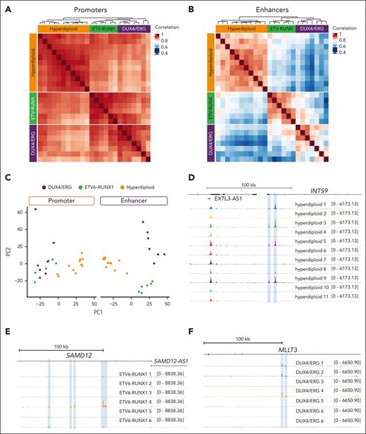 Patients with B-ALL display enhancer heterogeneity between individuals. (A) Correlation of accessibility at promoter regions (<2.5 kb from a TSS) measured by ATAC-seq signal between patient with DUX4/ERG, ETV6-RUNX1 (ETV-RUNX), and hyperdiploid subtypes. Data obtained from GSE161501. (B) Correlation of accessibility at putative enhancers (≥2.5 kb from a TSS) as measured by ATAC-seq signal between DUX4/ERG, ETV-RUNX, and hyperdiploid subtypes. (C) Principal component analysis of chromatin accessibility at promoters (left) and enhancers (right) for all 3 B-ALL subgroups. (D) ATAC-seq at the INTS9 locus for hyperdiploid samples. Putative enhancer regions with a high degree of intersample variability are highlighted in blue. (E) ATAC-seq at the SAMD12 locus for ETV6-RUNX1 samples. Putative enhancer regions with a high degree of intersample variability are highlighted in blue. (F) ATAC-seq at the MLLT3 locus for DUX4/ERG samples. Putative enhancer regions with a high degree of intersample variability are highlighted in blue.