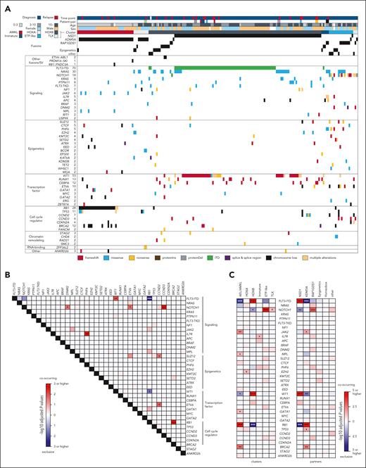 Mutational background of NUP98r leukemia associated with disease phenotypes. (A) Genetic profiles of NUP98r samples in the cohort. Colors indicate patient annotations (top) and types of gene alterations (bottom). (B) Co-occurrence and mutual exclusivity among recurrent alterations (n ≥ 3). (C) Enrichment of somatic alterations in transcriptional clusters (left) and fusion partners (right). In panels B-C, colors indicate adjusted P values by 2-sided Fisher’s exact tests and the Benjamini-Hochberg adjustment (red: co-occurring, blue: mutually exclusive), and asterisks indicate statistically significant values (adjusted P values, ∗P < .05; ∗∗P < .01; ∗∗∗P < .001). Annotations of genes in mutational heat maps depend on known general functions.