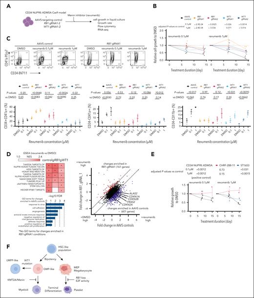 Cooperating alterations and differentiation status affect sensitivity to menin inhibition. (A) Experimental schema showing revumenib treatment. (B) Relative cell growth of cbCD34 NUP98::KDM5A models with gRNA treated with revumenib (0.1-1 μM) compared with dimethyl sulfoxide controls. (C) Flow gating (top), CD34+CD41a+ population (left), CD34–CD41a+ population (middle), and CD34–CD11B+ populations (right) among mCherry+ GFP+ mAmetrine+ live population at day 15. (D) GSEA analyses between dimethyl sulfoxide and revumenib-treated conditions, colors showing NES (top-left), comparison of expression changes between AAVS and RB1-gRNA1 conditions (right), and gene ontology term analysis of changes enriched (difference of fold changes >1) in AAVS conditions (bottom-left). (E) Relative cell growth of unedited cbCD34 NUP98::KDM5A (control, black), CHRF-288-11 (red), and ST1653 patient-derived xenograft (blue) treated with revumenib (0.1-1 μM) compared with dimethyl sulfoxide controls. (F) Schematics illustrating a cellular hierarchy of NUP98::KDM5A models created in BioRender. Umeda, M. (2025) https://BioRender.com/kreq8kl. Data were obtained from 3 technical replicates using gRNA-transduced cells in Figure 6. One data point at day 15 was excluded for technical errors. Statistical tests were performed by a generalized linear mixed effect model with Gaussian distribution, followed by the Benjamini-Hochberg adjustment (B,E) or Student t test by comparing gRNA conditions with AAVS controls (C). Asterisks indicate P values or adjusted P values; ∗P < .05. Error bars indicate mean ± standard error of the mean. DMSO, dimethyl sulfoxide; NES, normalized enrichment score.
