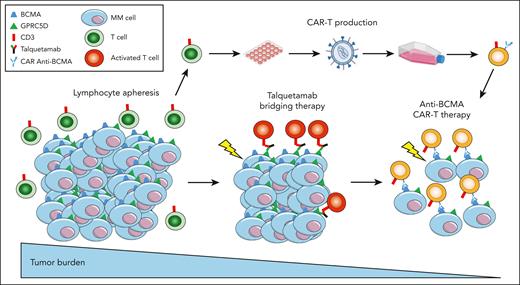 Anti-GPRC5D BsAb as a bridge to anti-BCMA CAR-T therapy. CD3, cluster of differentiation 3.