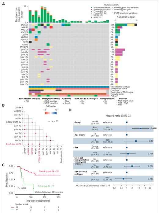 Mutational landscape of CAEBV according to CIMP status. (A) Gene mutations and CNAs in NK cell–type CAEBV with different CIMP status. (B) Pairwise associations among mutated genes found in at least 3 patients with NK cell–type or T-cell–type CAEBV and PD-related death outcome. Only significant correlations (q < .05) are shown together with their odds ratios. ARID1A and KMT2D mutations and CD274 3′-UTR SVs are defined as risk genes and highlighted in red. (C) Kaplan-Meier survival curves for NK cell–type or T-cell–type CAEBV according to risk gene mutations. The table below the plot indicates the number of patients at risk at each time point. (D) Forest plots of multivariate analyses of OS in NK cell–type or T-cell–type CAEBV constructed using the Cox proportional hazard model (hazard ratio ± 95% CI). Risk genes and known clinical prognostic factors were included in the model. AIC, Akaike information criterion; WES, whole-exome sequencing; WGS, whole-genome sequencing.