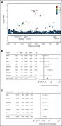 Association of GPR149;MME genome-wide significant locus (rs34097149-C). (A) Regional association plot around the SNP. (B) Forest plot representing the HR for VTE recurrence for all studies. (C) Forest plot representing the HR for VTE recurrence of the SNP effects across the subgroups and in the main analysis. Chr3, chromosome 3; EAF, effect allele frequency; INFO, imputation quality score; NREC, number of VTE recurrences.