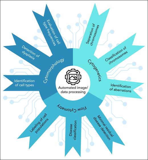 Application of AI in diagnostic hematology. The use of AI technologies in various aspects of diagnostic hematology, including cell type identification, detection of dysplasia, chromosomal analysis, and disease classification are highlighted. AI-driven techniques such as automated image/data processing and others are shown to improve diagnostic accuracy and enable minimal residual disease detection.