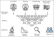 Multimodal ML framework for integrative analysis in hematology. The integration of heterogeneous data types (clinical variables, radiologic imaging, histopathology, and high-throughput sequencing) using a multimodal ML pipeline is depicted. After preprocessing and data fusion, ML models are trained to capture relationships across modalities. These models support key clinical applications including the classification of hematologic malignancies (eg, lymphoma subtyping), prediction of clinical outcomes (eg, survival or progression after CAR T-cell therapy), discovery of prognostic and predictive biomarkers, and development of digital twins to simulate individualized treatment responses. Icons in this figure were generated using ChatGPT (OpenAI).