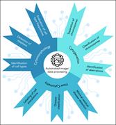 Application of AI in diagnostic hematology. The use of AI technologies in various aspects of diagnostic hematology, including cell type identification, detection of dysplasia, chromosomal analysis, and disease classification are highlighted. AI-driven techniques such as automated image/data processing and others are shown to improve diagnostic accuracy and enable minimal residual disease detection.