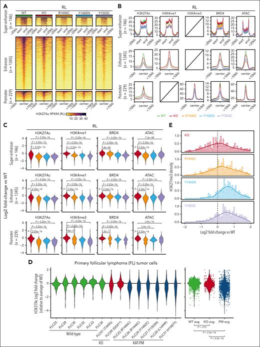 Loss of enhancer and promoter activity in CREBBP KAT-PM cells. (A) Heat maps of regions with significant H3K27Ac loss in RL cells with CREBBP KAT-PM (R1446C, Y1482N, Y1503C) compared with WT (FDR <0.05), also showing H3K27Ac abundance in CREBBP KO cells. (B-C) Density plots (B) and violin plots (C) of relative change compared with WT for histone posttranslational modifications and chromatin accessibility in RL cells with CREBBP KO different KAT-PMs (R1446C, Y1482N, Y1503C), showing regions from panel A. (D) Relative abundance of H3K27Ac in primary FL tumor cells, normalized to the average of CREBBP WT tumors, showing regions of consensus H3K27Ac loss in CRISPR edited CREBBP KAT-PM RL and HT cells compared with isogenic WT controls. (E) Density plot of relative H3K27me3 in RL CREBBP KAT-PM (R1446C, Y1482N, Y1503C) or KO CRISPR edited cells compared with isogenic WT controls, showing regions from panel A.