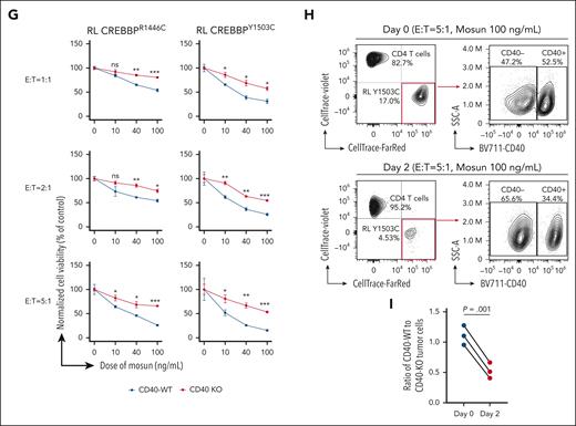 Induction of CD40 signaling and cell death by CD4 T-cell engagement with mosunetuzumab. (A) Schematic of the rationale for using mosunetuzumab to engage CD40 signaling in lymphoma B cells. (B) GSEA normalized enrichment scores (NES) of signatures induced by CD40L + IL-4, comparing CD4 T-cell engagement with mosunetuzumab (mosun). (C) Heat maps showing regions of significantly (FDR <0.05) increased CREBBP (left), EP300 (middle), and H3K27Ac (right) at 12 and 24 hours after CD4 T-cell engagement with mosunetuzumab compared with control. (D) Altuna plot of the overlap of regions shown in panel C. (E) Heat map of hGSEA FDR q-values for genes with increased H3K27Ac, CREBBP, or EP300 at 12 and 24 hours after CD4 T-cell engagement with mosunetuzumab compared with control. (F) Bubble plot of motif enrichment analysis (HOMER) for increased H3K27Ac at 12 and 24 hours after CD4 T-cell engagement with mosunetuzumab compared with control. (G) Cell viability of CREBBP R1446C or Y1503C mutant RL cells with (red) or without (blue) CD40 KO at different effector-to-target ratios of CD4 T cells to lymphoma cells with 100 ng/mL of mosunetuzumab. Student t test ∗P < .05; ∗∗P < .01; ∗∗∗P < .001. (H) CD4 T-cell killing of CREBBP Y1503C mutant RL cells within mixed cultures of CD40-positive and CD40-negative cells. (I) Comparison of the relative fraction of CD40 WT and CD40 KO cells within mixed cultures at the start (day 0) and end (day 2) of cocultures with CD4 T cells plus mosunetuzumab.