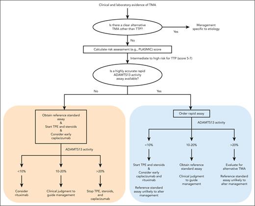 Algorithm for diagnosis and early management of TTP based on the availability of a rapid ADAMTS13 activity assay. Our approach to the incorporation of rapid ADAMTS13 activity assays for the diagnosis and early management of TTP is shown. First, an assessment for alternative etiologies of TMAs is completed. If no clear alternative is identified, a risk assessment score such as the PLASMIC score should be calculated. For cases of intermediate and high risk for TTP, diagnosis and early management depends on the presence of a highly accurate (≥95% sensitivity and specificity) rapid ADAMTS13 assay such as the HemosIL AcuStar CLIA. If a rapid assay is available, empiric management may be deferred until the result is available. If no rapid assay is available, empiric therapy is initiated while awaiting the results of a reference standard ADAMTS13 activity assay. This algorithm represents general clinical guidance, but does not replace the need for clinical judgment and individualized management.