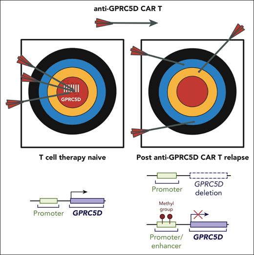 Mechanisms of GPRC5D loss mediating resistance to anti-GPRC5D CAR T therapy. In the T-cell therapy–naive setting, GPRC5D is highly expressed on multiple myeloma (MM) tumor cells, enabling effective targeting by anti-GPRC5D CAR T cells (arrows hitting the bullseye). After relapse, tumor cells evade immune recognition through loss of GPRC5D, making anti-GPRC5D CAR T therapy ineffective. Mechanisms of GPRC5D antigen escape include genomic deletion of the GPRC5D locus and epigenetic silencing via promoter/enhancer methylation. CAR, chimeric antigen receptor. Figure generated using BioRender.
