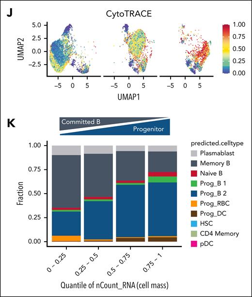 Pirtobrutinib induces dedifferentiation of giant cells. (A) Venn diagram showing giant cell–specific signature (Giant_UP) from bulk RNA-seq data of Mino-VEN-R and JeKo-1–IBN-R cells. (B) Graphical GSEA of Giant_UP using ShinyGo tool.29 (C) Flow cytometry results show decreased levels of IgM and CD19 in giant cells compared with parental cells. ∗P < .05; ∗∗P <. 01. (D) Heat map showing B-cell lineage markers differentially regulated during the transitions of Mino-VEN-R cells with PBN (10 μM) treatment on and off. (E) UMAP overview of Mino-VEN-R cells treated with PBN for 5 days. Each dot of the UMAP plot represents a single cell. Cells are colored by PBN dose or clusters (C0-C5) with split view. (F) The RNA density and cell size plots according to PBN dose. UMAP overview with cells colored by nCount_RNA; UMAP overview with cells colored by Giant_UP signature score. (G) Split view of UMAP with cells colored by rRNA_PROCESSING score. (H) Immunofluorescence showing the expression of fibrillarin (FBL) in Mino-VEN-R parental and giant cells. Blue, DAPI; Alexa Fluor 488, FBL. Scale bar, 100 μm. (I) Immunofluorescence showing the expression of FBL selectively in enlarged cells in MCL PDOs from PT3 and PT6. Arrows indicate the presence of giant cells. Blue, DAPI; Alexa Fluor 594, FBL. Scale bar, 100 μm. (J) Split view of UMAP with cells colored by CytoTRACE score. (K) Cell composition plot of predicted cell types with bone marrow data sets as referenced30 according to cell mass (nCount_RNA). DAPI, 4′,6-diamidino-2-phenylindole; FDR, false discovery rate; HSC, hematopoietic stem cell; IgM, immunoglobulin M; PBN, pirtobrutinib; pDC, plasmacytoid dendritic cells; Prog, progenitor; Prog_RBC, progenitor red blood cells; UMAP, uniform manifold approximation and projection.