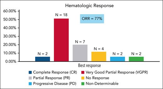 Hematologic response. The 2012 ISA response criteria were utilized. ORR, overall response rate.