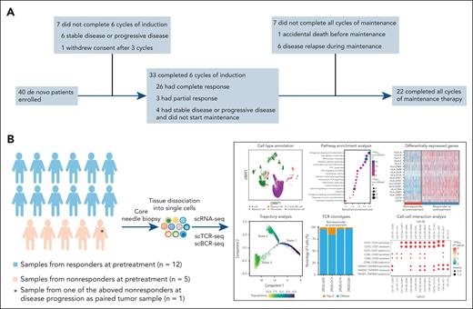 Flow diagram and flowchart related to scRNA-seq of the patients with DLBCL. (A) Patient flow diagram of the trial. (B) Flowchart of sample collection and analysis of scRNA-seq. UMAP, Uniform Manifold Approximation and Projection.