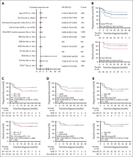 First-line treatment efficacy and survival analysis of patients receiving ZR2. (A) Forest plot of CR rates for all patients. The 2-sided P values were calculated using the χ2 test. (B) PFS and OS survival curves of all patients. The 2-sided P values were calculated using the log-rank test. (C) PFS and OS survival curves stratified by IPI. The 2-sided P values were calculated using the log-rank test. (D) PFS and OS survival curves stratified by cell of origin. The 2-sided P values were calculated using the log-rank test. (E) PFS and OS survival curves stratified by DE lymphoma. The 2-sided P values were calculated using the log-rank test. HR, hazard ratio; NA, not available; NOS, not otherwise specified.