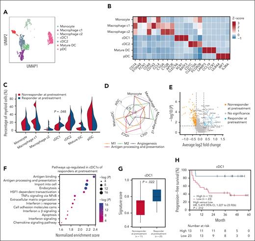 Infiltrating myeloid cells of DLBCL associated with the efficacy of ZR2. (A) UMAP of myeloid cells, with each cell colored for specific cell types. (B) Heat map showing the expression of marker genes in myeloid cell types identified by scRNA-seq. (C) The comparison of percentages of myeloid cells per sample according to the efficacy of ZR2. The 2-sided P values were calculated using the Mann-Whitney U test. (D) Expression levels of 4 gene signatures (M1-like, M2-like, angiogenesis, antigen presentation signatures) across myeloid cell clusters. (E) Volcano plot showing differentially expressed genes of cDC1s between responders (n = 12) and nonresponders (n = 5). The 2-sided P values were calculated using the Wilcoxon rank sum test. (F) Upregulated pathways in cDC1s of responders (n = 12) by gene set enrichment analysis compared with nonresponders (n = 5). The color and size of points indicate normalized P value of upregulated pathways in the 2 groups, respectively. (G) Comparison of expression of cDC1 signature at baseline according to the efficacy of “chemotherapy-free” (ZR2 and iR2) treatment by bulk RNA sequencing. The 2-sided P values were calculated using the Mann-Whitney U test. (H) Kaplan-Meier curves of PFS of patients treated with “chemotherapy-free” (ZR2 and iR2) treatment according to the expression of cDC1 signature. The group cutoff was determined by progression of disease within 2 years in the “chemotherapy-free” cohort. P values were calculated using the log-rank test. pDC, plasmacytoid dendritic cell.