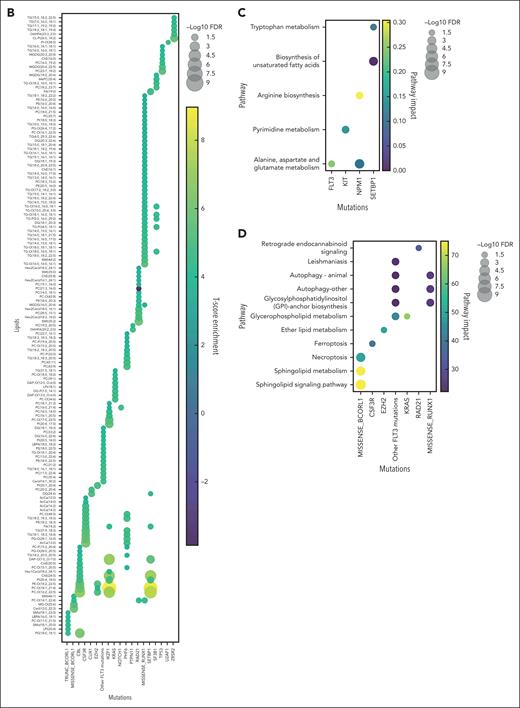 Circulating metabolites and lipids reflect patient mutational heterogeneity. Unbiased metabolomics and lipidomics of AML plasma samples at diagnosis were categorized based on patient mutational status, and t test was performed to identify significantly different metabolites (A) and lipids (B). Pathway enrichment of significantly changed metabolites (C) and lipids (D) were also assessed across patient mutations. Mutations for which multiple testing methods were used for mutation detection (FLT3 and NPM1) are represented as 1 group. FDR, false discovery rate.