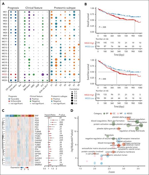 Weighted correlation network analysis identifies functional protein modules with clinical relevance. (A) Bubble plot displaying 24 protein clusters (functional modules, ME1-24). Modules highly correlated with clinical features, molecular characteristics, and proteomic subtypes are colored. The ME22 is highlighted in red font. (B) Kaplan-Meier curves for OS (upper panel) and EFS (lower panel) of patients with AML stratified by protein abundance in ME22, with the most obvious prognostic discrimination used as the cutoff value. (C) Heat map showing the relative abundance of proteins derived from the ME22 module (left panel). Univariate Cox regression analysis indicating the prognostic value of each protein (right panel). The middle red points indicate the hazard ratio for each protein, and end points represent lower or upper 95% confidence intervals (CIs). (D) Pathway enrichment analysis of ME22-derived proteins between the combination of S2, S3, and S7 and patients with residual AML using BP, CC, and MF in GO, and Kyoto encyclopedia of genes and genomes (KEGG). BP, biological process; CC, cellular component; MF, molecular function.