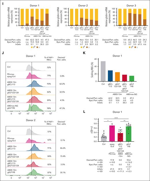 Comparison of prime- and base-editing inducing HPFH/HPFH-like mutations in SCD HSPCs and their erythroid progeny. (A) Schematic representation of the β-globin locus on chromosome (chr) 11 including the HBG1 and HBG2 genes and their promoters (prom). The light and dark gray bars denote the gRNAs used with BEs and their PAM, respectively6,13,17-21 (supplemental Table 1). In the –200 region, gKLF198 induces the T>C (A>G) HPFH mutation at the –198 site generating a KLF1 motif, with a bystander at position –199. gTAL175-NG and gTAL175 generate a TAL1 motif by introducing the HPFH T>C (A>G) mutation at the –175 site, using NG (dotted line) and NGG (solid line) PAMs, respectively. In the –115 region, gKLF123/124 induces T>C (A>G) mutations at the –123 and –124 sites, creating a KLF1 BS. gBCL113 creates an A>G (T>C) mutation at the –113 site, generating GATA1 BS and A>G mutation at the –116 site disrupting the BCL11A BS and bystander edits at the –112 and/or –110 sites. (B) Experimental protocol used for prime and base editing experiments in peripheral blood (donor 1) or bone marrow (donors 2 and 3) CD34+ HSPCs from SCD donors. HSPCs were transfected with PEs using the protocol described in the legend to Figure 2B (supplemental Table 1). For base editing, cells were transfected with 3 μg of in vitro-transcribed BE mRNA (as previously described6) and 1 or 2 guide RNAs (100 pmol each; Integrated DNA Technologies; supplemental Table 1). Control (ctrl) samples were either mock-transfected or transfected with the PEnmax or the ABE8-13m mRNA alone. After transfection, bulk HSPCs (ie, without any selection) were either cultured in preactivation medium or differentiated in mature RBCs following the previously described method6,14 or plated in a semisolid medium to induce erythroid differentiation (colony-forming assay). The editing efficiency was evaluated in bulk HSPCs and erythroid precursors 6 days posttransfection and in single BFU-Es by NGS (Illumina, as previously described6 using the primers and probes described in supplemental Table 2). The presence of the 4.9-kb deletion was evaluated by ddPCR and PCR as described in the Figure 2 legend. PE and BE efficiency was evaluated following the method described in the Figure 2B legend and the CRISPResso2 webtool,22 respectively. Globin mRNA expression was measured in erythroid precursors and single BFU-Es using qRT-PCR. Hemoglobin, erythroid markers, and enucleation were analyzed by flow cytometry in erythroid precursors and mature RBCs. Sickling assay was performed on mature RBCs. (C-D) Percentage of NGS reads in the HBG promoters in (C) HSPCs and (D) erythroid precursors. Prime editing modifications were reported as indicated in Figure 2C. Base editing was performed using the gRNAs displayed in panel A and ABE8-13m or ABEmax-NG. In the –115 region, +G, –B, and +K refer to GATA1 BS insertion (–113), BCL11A BS (–116) disruption, and KLF1 BS insertion (–124/123), respectively. In the –200 region, +K and +T create the KLF1 (–198) and TAL1 (–175) BSs, respectively. Bystanders (Byst.) were found in positions –110, –112, and –199. Control (ctrl) samples were either mock-transfected or transfected with the PEnmax or the ABE8-13m mRNA alone. (E) NGS reads from the HSPCs of donor 3, ABE8-13m, and gBCL113 generate a new GATA1 motif (blue) and disrupts the BCL11A BS (red). Editing with gKLF123/124 leads to the generation of a KLF1 motif (orange). Multiplex base editing using both gRNAs showed the presence of dual editing events (dual edit) and a high rate of InDels, as shown in the nucleotide distribution around the gRNAs. At each base in the reference amplicon, the percentage of each base as observed in sequencing reads is shown (A = green, C = orange, G = yellow, and T = purple). Black bars show the percentage of reads for which that base was deleted. Brown bars between bases show the percentage of reads having an insertion at that position (top). ABE8-13m and gKLF198 create a KLF1 motif (green). Editing with ABE8-13m and gTAL175 induces the generation of a TAL1 motif (pink). Both gRNAs together allow dual editing (bottom). (F) Frequency (%) of the 4.9-kb deletion measured by ddPCR in HSPCs and erythroid precursors from 3 donors with SCD following editing with PEs or BEs. Control (ctrl) samples were either mock-transfected or transfected with the PEnmax or the ABE8-13m mRNA alone. The gray area indicates background 4.9-kb deletion levels (ie, observed in the control-treated samples). (G) Agarose gel image showing a band corresponding to the PCR product (HBG1/2 junction) obtained using primers surrounding the HBG1/2 junction (generated upon deletion of the 4.9-kb region) in control (ctrl; mock-transfected or transfected with the PEnmax or ABE8-13m mRNA alone) SCD HSPCs or SCD erythroid precursors and treated with PE or BEs (donor 3). For the positive control, we used DNA from K562 cells displaying 60% of 4.9-kb deletion measured by ddPCR (ctrl+). For the negative control, we performed the PCR reaction in the absence of DNA (ctrl–). (H) Frequency of CD36+, CD71+, CD235a+, and enucleated RBCs at day 13 (light gray) and 20 (dark gray) of erythroid differentiation, as measured by flow cytometry analysis of CD36, CD71, and CD235a erythroid markers and by DRAQ5 staining for donors 1 and 2. Control (ctrl) samples were mock-transfected. (I) Globin mRNA expression in erythroid precursors from 3 donors was measured by qRT-PCR. We reported the editing frequency below each graph. Control (ctrl) samples were mock-transfected. (J) Flow cytometry histograms showing the frequency of HbF+ cells in erythroid precursors from donors 1 and 2. For each sample, we also reported the editing frequency. Control (ctrl) samples were mock-transfected. (K) Frequency of sickling RBCs after 2-hour incubation under hypoxic conditions (0% O2) for donor 1. We reported the editing frequency below each graph. Control (ctrl) samples were mock-transfected. (L) Globin mRNA expression in single BFU-Es from donor 1 was measured by qRT-PCR. We reported the editing frequency below each graph. Control (ctrl) samples were transfected only with the PEnmax mRNA. Statistical significance was assessed using an unpaired Kruskal-Wallis test with multiple comparison (Dunn’s correction) and displayed as ∗∗∗∗P < .001, ∗∗P < .01, and ∗P < .05.