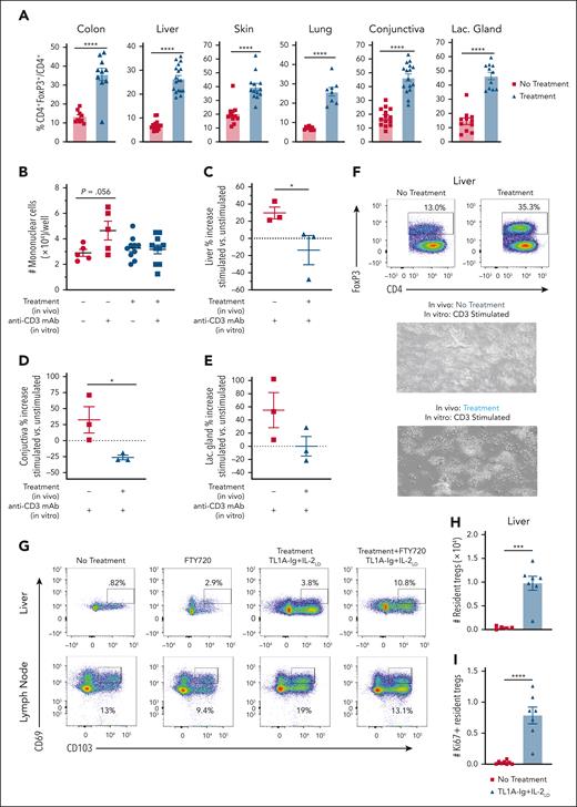 Recipient TNFRSF25 and CD25 receptor stimulation before HSCT induces expansion of TR Tregs and a functionally suppressive environment in GVHD target tissues. (A-F) Assessment of GVHD target tissues of recipient BALB/c mice either untreated or treated with protocol C (TL1A-Ig+IL-2) and analyzed 8 days after initiation of treatment (day 0 of BMT). (A) Treg frequencies in nonhematopoietic tissue compartments, that is, the colon, liver, skin, lung, and ocular adnexa (conjunctiva and lacrimal gland), are shown. All GVHD target tissues show significant Treg expansion. (B-E) Measurement of suppressive capabilities of Treg cells isolated from GVHD target tissues on day 0, assessing in vitro proliferation using anti-CD3 mAb. (B) Cell number of colon LP cultures were counted at hour 72 from protocol C–treated and untreated mice. Untreated mice showed higher cell counts than protocol C–treated mice after in vitro anti-CD3 stimulation. (C-E) In vitro studies assessing the liver and the ocular adnexa. Each point represents 1 experiment, and each experiment had a minimum of 3 replicate wells for each group. On day 0, liver CD4+ T cells were enriched via EasySep beads and then plated with anti-CD3 mAb to induce proliferation. (C) Percent increase of enriched liver mononuclear cells at hour 120 shows no net proliferation in cell counts when mice were treated with protocol C. (D) Percent increase of total conjunctiva mononuclear cells at hour 120 if no treatment was given. (E) Percent increase of total lacrimal gland cells at hour 120 if no TL1A-Ig+IL-2LD treatment was given. (F) Representative flow plots depicting the initial frequency of FoxP3+ Tregs at the start of the cultures, and below representative images of well health at hour 120 between in vivo treated or untreated, respectively. (G-I) The S1PR modulator, FTY720, was used to delineate whether the TL1A-Ig+IL-2LD–expanded Tregs traffic from hematopoietic sites or proliferate in nonhematopoietic GVHD target tissues at day 8 after starting treatment (see “Methods”). (G) Gating strategy for resident FoxP3+ Tregs (CD69+CD103+) from the liver (upper) and cervical LNs (lower panel). (H) Absolute numbers of liver-resident (CD69+CD103+) Tregs are significantly increased after TL1A-Ig+IL-2LD treatment. (I) Most Tregs highly express the proliferation marker, Ki-67, indicating robust expansion of TR Tregs. Data represent the mean ± SEM, with ∗P < .05; ∗∗P < .01; ∗∗∗∗P < .0001 defining significance levels.