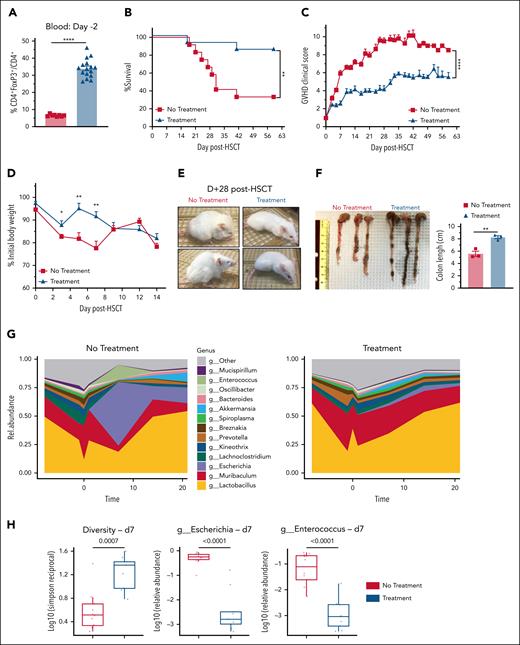 Recipient Treg expansion with TL1A-Ig+IL-2LD before transplant significantly diminished GVHD severity, promoted colonic microbiome diversity, and improved overall survival. (A-F) BALB/c mice were treated with TL1A-Ig+IL-2LD before TBI. aHSCT was performed using a B6 (donor) → BALB/c (recipient) major MHC-mismatch model. CD45.1 B6 (H2b) TCD BM cell (5.5 × 106) and an adjusted spleen cell number containing 0.55 × 106 T cells were transplanted into BALB/c (H2d) recipients. TBI was 7.25 Gy given on day −1. Presented aHSCT data were pooled from 2 independent experiments representing 16 mice per group. (A) Confirmation of Treg expansion (CD4+FoxP3+/CD4+) in the PB on day −2. (B-F) Panels show survival (n = 8) (B), GVHD clinical score (n = 8) (C), percent weight loss (n = 8) (D), general mouse appearance (E), and colon lengths (F). (B) Overall survival was 38% without recipient TL1A-Ig+IL-2LD treatment vs 89% with recipient TL1A-Ig+IL-2LD treatment. There was a significant difference in GVHD clinical scores over 63 days (C) and less percent weight loss early after aHSCT (D). Representative photographs depict animal appearance at day +28 after aHSCT (E). (F) Colon lengths of mice (n = 6, 3 from each group) at day +42 after aHSCT. (G) Relative abundance of bacterial microbiome over time in untreated and TL1A-Ig+IL-2LD–pretreated recipients. Mice were assessed at day 0, day +7, day +10, day +14, and day +20 (n = 10). (H) TL1A-Ig+IL-2LD–treated recipients displayed greater microbiome diversity at day +7. Bacterial diversity (Simpson reciprocal) and specific genus-level relative abundance of Escherichia and Enterococcus. Data represent the mean ± SEM, with ∗P < .05; ∗∗P < .01; ∗∗∗∗P < .0001 defining significance levels.