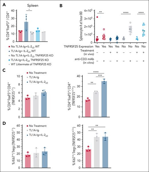 TNFRSF25 signaling on CD4+FoxP3+ Tregs is critical for their activation and expansion. (A) TNFRSF25 expression is required for TL1A-Ig–induced Treg expansion in vivo. Frequency of CD4+FoxP3+ Tregs in the spleens at day 0 from their respective mice (BALB/c TNFRSF25+/+, WT and BALB/c TNFRSF25−/−, KO) with/without TL1A-Ig+IL-2LD. (B) Loss of suppression in the absence of the expression of TNFRSF25 followed by TL1A-Ig in vivo stimulation. Number of total splenocytes at 80 hours after culture by their respective mice, TL1A-Ig+IL-2LD treatment, and anti-CD3 mAb (1 μg). (C-D) Spleen and LN cells (1 × 107) from B6-CD45.2 TNFRSF25 KO mice were transferred IV into B6-CD45.1 WT mice. After 24 hours, treatment with TL1A-Ig with/without IL-2LD was initiated. Peripheral and mesenteric LNs were harvested on day 6. Single-cell suspensions were prepared and Treg expansion was analyzed by flow cytometry. (C) In contrast to TNFRSF25+/+ Tregs, TNFRSF25−/− (KO) Tregs do not respond to TL1A-Ig treatment in vivo. TL1A-Ig+IL-2LD treatment induced a small increase in TNFRSF25−/− Tregs. (D) In contrast to TNFRSF25+/+ Tregs, TNFRSF25−/− (KO) Tregs do not express Ki-67 in response to TL1A-Ig treatment in vivo. However, TL1A-Ig+IL-2LD treatment induced a small increase in Ki-67+ TNFRSF25−/− Tregs. KO, knockout.