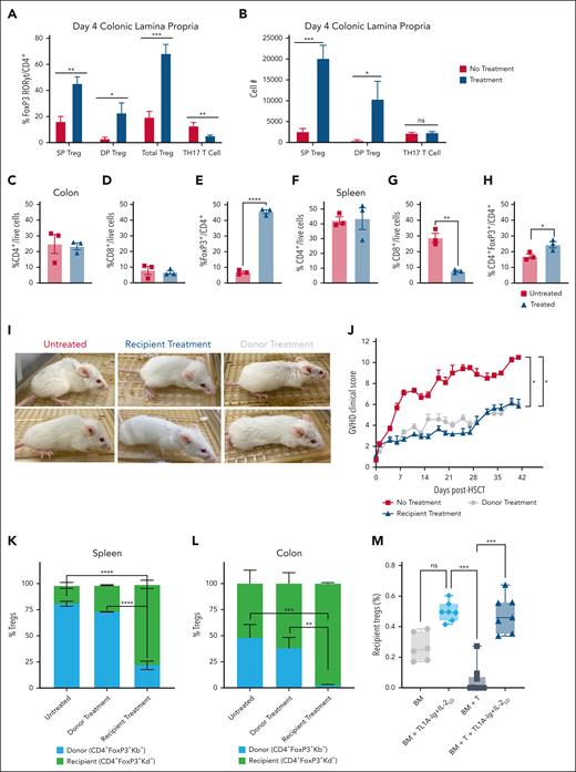 Donor- and recipient-expanded Tregs significantly diminished GVHD severity. (A-H) Recipient BALB/c mice were pretreated with TL1A-Ig+IL-2LD. An aHSCT (B6 → BALB/c) was performed on day 0 (n = 3 mice per group) after conditioning on day −1. TR colonic LP lymphocytes were assessed at day +4 (A) and +10 (M) after aHSCT. The frequencies (A) and absolute numbers (B) of FoxP3+RORγt−/CD4+ T cells, FoxP3+RORγt+/CD4+ T cells, total Tregs, and TH17/CD4+ T cells at day +4 are shown. The frequencies of CD4+, CD8+, and FoxP3+/CD4+ T cells from colon LP (C-E) and spleen cells (F-H) are shown. (I-J) Pretreated BALB/c recipients of B6 aHSCT exhibited improved appearance (day +28 after aHSCT) and significantly improved clinical scores, depicting reduced GVHD scores in both donor and recipient TL1A-Ig+IL-2LD–treated groups compared with the untreated group; n = 8 for panel J. (K-L) TL1A-Ig+IL-2LD–pretreated recipients demonstrated a preponderance of recipient Tregs in the colon and spleen. Donor (Kb+) and recipient (Kd+) Treg frequencies on day +5 after aHSCT (B6 → BALB/c) in the spleen (K) and colon (L) were analyzed. TL1A-Ig+IL-2LD pretreatment (n = 8 mice per group) resulted in a majority and almost exclusively Tregs of recipient origin in both the spleen and colon, respectively. Notably, at day +5 after aHSCT, in contrast to the spleen (K), recipient Tregs in the colon (L) still represented most of the Treg population (L) after transplant with Treg-expanded donor cells; n = 5 for panels K-L. (M) The frequencies of CD4+FoxP3+/CD4+ T cells, at day +10 are shown. Data represent combined data from 3 independent B6→BALB/c transplant experiments (n = 6-9 per group). Data represent the mean ± SEM, with ∗P < .05; ∗∗P < .01; ∗∗∗∗P < .0001 defining significance levels. DP, double positive (FoxP3+RORγt+); SP, single positive (FoxP3+RORγt-).