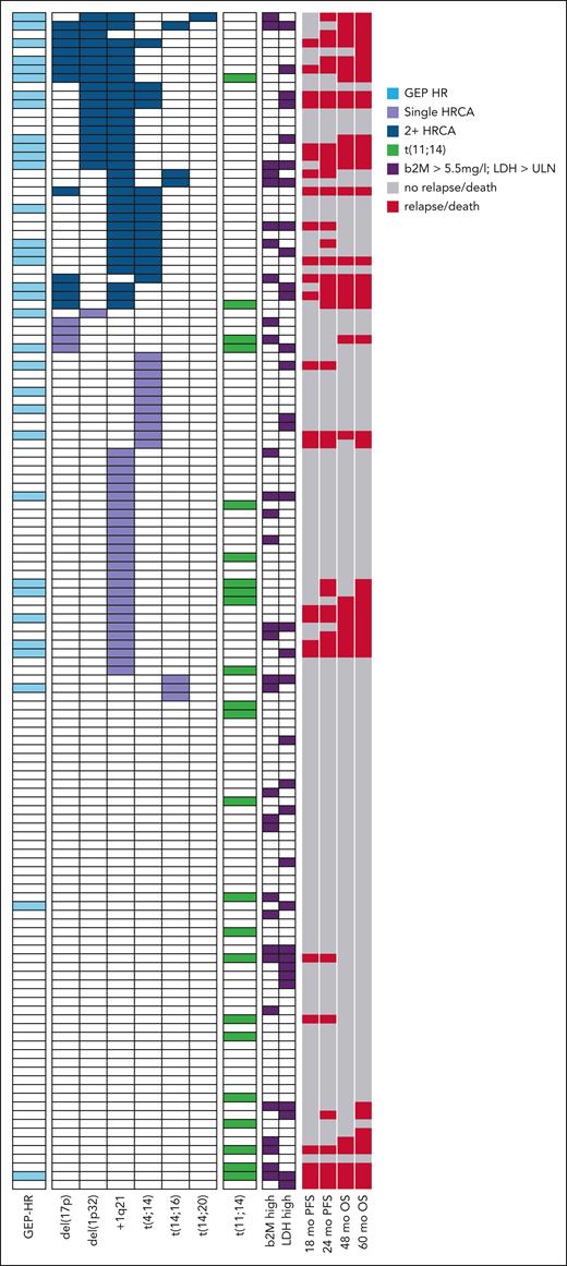 Oncoplot illustrating HR features at an individual patient level (n = 135), including IMS/IMWG-defined HRCAs, GEP-HR, t(11;14), and elevated b2m or LDH. ER as in PFS (defined as <18 months or <24 months) and OS events (at 48 and 60 months) are shown in red, while no event displayed in gray. Co-occurrence of ≥2 HR features appear in dark blue, single HR features in light purple, and no HR feature in white. Translocation t(11;14) is separately listed in green. Elevated laboratory parameters (b2m, LDH) are marked in dark purple. TP53 mutation status was not included in this analysis, as only 11 patients in the study had available information. LDH, lactate dehydrogenase. Figure created with biorender.com. Houlston R. (2025) https://biorender.com/0vv82j9.