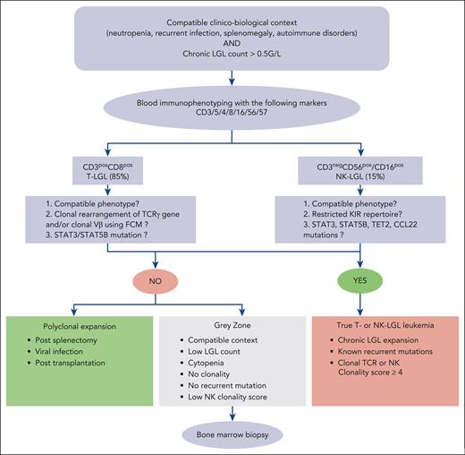 Diagnosis algorithm of LGLL. NK clonality score based on 4 parameters: NK cell count of >11 × 109/L: 2 points; KIR restricted phenotype: 2 points; CD94 or NKG2Ahi: 1 point; STAT3, STAT5B, TET2, or TNFAIP3 mutation: 2 points.38