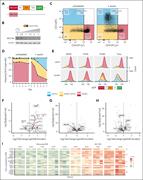 CEBPA is a target of MECOM. (A) Schematic depiction of the AID tag, followed by V5-T2A-eGFP introduced 3′ of MECOM in MUTZ3 cells. (B) Western blot analysis of a MUTZ3 AID-TIR1 clone for MECOM (upper) and β-actin (lower). Cells were treated with 500 μM auxin for indicated time spans. (C) Flow cytometric analysis of CD34 (Pe-Cy7) and CD15 (APC) staining in a MUTZ3 AID-TIR1 clone treated with auxin (100 μM, refreshed every 24 hours) after 7 days of treatment. (D) Flow cytometric analysis of a single MUTZ3 AID-TIR1 clone treated with auxin (100 μM, refreshed every 24 hours) for 7 days. Frequencies reported as percentages of single cells, based on the gates shown in panel C. (E) Stacked density histogram of eGFP expression in MUTZ3-AID T2A eGFP cells treated with auxin, with counts normalized per group. Gates and legend are shared with panels C-D. (F) Volcano plot of DEseq2 analysis on T>C-converted reads (nascent RNA; auxin vs no auxin), in 3 MUTZ3 AID OsTIR1 clones from panel B. Genes are labeled if the adjusted P value is <.01 and they are specifically upregulated in MUTZ3-MECOM-AID cells treated with auxin, but not in auxin-treated wild-type cells. (G) Volcano plot of DEseq2 analysis on MUTZ3 treated with 2 shRNAs targeting MECOM vs a scrambled control after 24 hours of puromycin selection (started 48 hours posttransduction; n = 3 for each shRNA, 2 shRNAs directed against MECOM vs 1 shRNA_control). These 2 shRNAs downregulate MECOM (as shown in plot). Genes from panel F are labeled in this plot if the adjusted P value is <.05. (H) Volcano plot of DEseq2 analysis on MUTZ3 expressing doxycycline-inducible Cas9, treated with 3 guides inactivating a GATA2 enhancer in control of MECOM (doxycycline vs no doxycycline). Previous work11 has shown these 3 guides downregulate MECOM (as shown in the plot). Genes from panel F are labeled in this plot if the adjusted P value is <.05. (I) Heat map of z scores of RNA-seq regularized log–transformed counts of MUTZ3 cells treated with control shRNA or MECOM shRNA. Only genes previously known to be upregulated by CEBPA are shown,28 grouped according to the first time point at which they are upregulated after MECOM knock-down. z scores were calculated from regularized log–transformed counts by subtracting the mean of the control samples. This heat map shows 1 of the 2 shRNAs. The other shRNA is depicted in supplemental Figure 4. APC, allophycocyanin; eGFP, enhanced green fluorescent protein; Pe-Cy7, phycoerythrin-cyanine 7; UNTX, untreated.